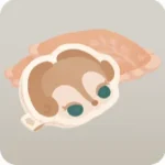 プリントクッション・パキケ