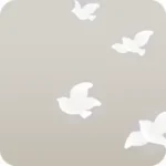 羽ばたく鳥の幻