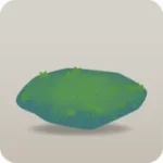バブルプラントの苗床石