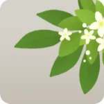 覗くポンカンの花