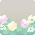 パステルカラーのビオラ