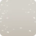 晴れ間の雨粒