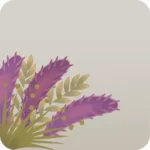 乾燥させた植物