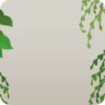 のび放題の緑の茂み