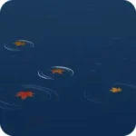 もみじが浮かぶ水面