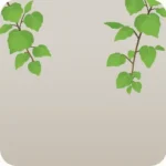 垂れ下がるつる植物