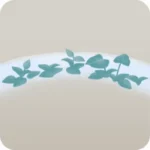 温室の水辺・緑