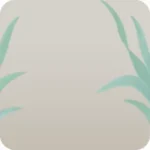 心安らぐ観葉植物