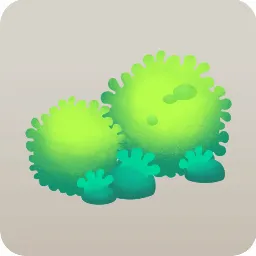 原生林の苔たち