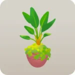 パラダイスの植木鉢