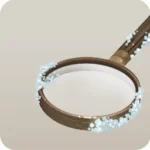 アンティークの虫眼鏡
