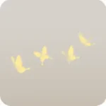 上を飛ぶ蝶の群れ