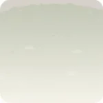 若葉の原っぱ