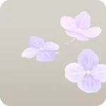 俟らの紫陽花