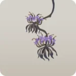 乾燥中の花