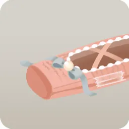 ペーパークラフトのトゥシューズ