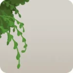 のび放題の緑・左