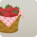 かご盛りイチゴ