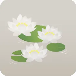 白いスイレンの花