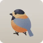 ヤマガラの置物