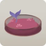 小さなシャーレで育つ木の芽