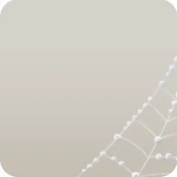 水滴がついた蜘蛛の巣