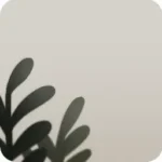 観葉植物のミニチュア