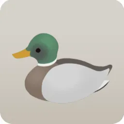 通りがかったマガモ