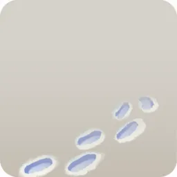 雪に残った足跡