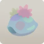 隠れている小さなカメ