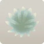 砂丘の小さな草・緑