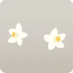 2輪の橘の花