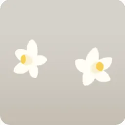 2輪の橘の花