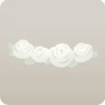 華美な白薔薇の花冠